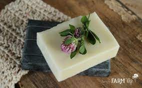 Now, that is just plain. How To Make A Simple Natural Homemade Soap
