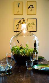 lamp met planten bottle garden terrarium plant lighting