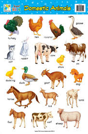 Image For Domestic Animals Chart English Worksheets For
