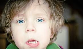 Photography Portfolios