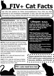 Community Cats T O On Twitter Vet Tech Student Cat Facts Vet Medicine