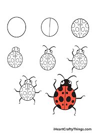How to draw a ladybug easy step by step for kids, beginners, children 2☞ fanpage facebook drawing for kids: Ladybug Drawing How To Draw A Ladybug Step By Step