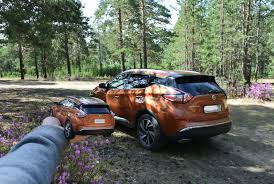 Да и сюжета кроме цветов нет. Samye Populyarnye Cveta Avtomobilej Statistika 2020 Goda Avtorevyu