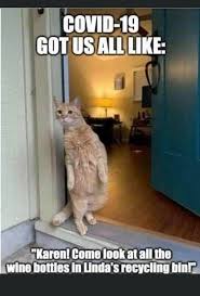 Pin By Victoria On Cute Funny Animals Haha Funny Animal Memes Funny Cat Memes