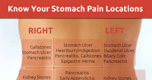 It is part of the digestive system. The 4 Quadrants And 9 Regions Of The Abdomen Qd Nurses