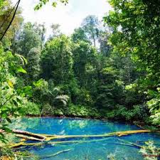 Danau terbening yang pernah di lihat (labuan cermin). Photos At Danau Dua Rasa Labuan Cermin Biduk Biduk