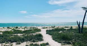 Image result for Sandy Beach 2013 Captiva