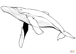 Free bible coloring pages whale coloring pages fish coloring page colouring pages coloring pages for kids coloring books printable coloring church house collection has a jonah and the whale vbs idea for kids. Rainbow Fish And The Big Blue Whale Coloring Page For Kids Jonah Crafts Pages Game Images Approachingtheelephant