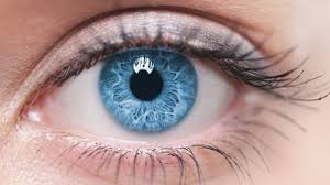 So i had a little accident this morning with an eyelash curler. Read This Before You Try A Diy Lash Lift