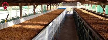 Solucan Gubresi Uretim Onerileri Degerli Girisimciler Solucan Gubresi Uretiminin Amacindan Sapmaya Ve Farkli Bir Yone Kaym Kentsel Ciftcilik Gubre Kaliforniya