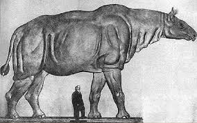 Top 10 Biggest Land Mammals That Ever Walked The Earth Ausgestorbene Tiere Saugetiere Fossilien