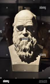 Darwin bust hi-res stock photography and images