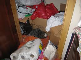 Pest control hamilton, canada, pest removal services, critters, extermination, vermin control, rat catcher. Aanteater Pest Control And Wildlife Services Inc