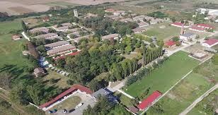 Maybe you would like to learn more about one of these? Legea Nr 952006 Republicata Spitalul De Psihiatrie Si Pentru Masuri De Siguranta Jebel