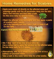 Scabies Home Remedies With Antibacterial Antifungal Properties Top 10 Home Remedies Home Remedies For Scabies Home Remedies Remedies