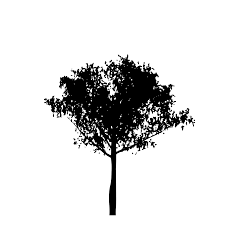 28 rambutan clipart gambar free clip art stock illustrations. Svg Pokok Cawangan Hutan Gambar Imej Ikon Svg Percuma Svg Silh