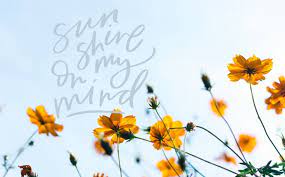 Free Downloadable Tech Backgrounds For April 2019 Cute Computer Backgrounds Tech Background Laptop Backgrounds