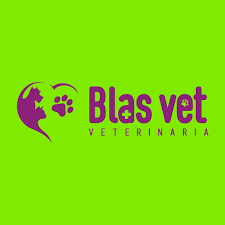 Veterinaria Blasvet Surco