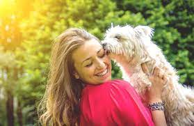 Why Does My Dog Smell My Eyes Is This Normal Dogdorable