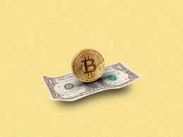 If you are looking for information on what is shiba inu coin and how to buy shiba inu now then this guide is meant for you. Wazirx To Compensate Users Who Lost Big On Volatile Meme Coin The Economic Times