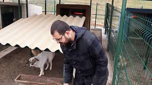Barinaktaki Hayvanlara Elektrikli Isitici Mardin Dailymotion Video