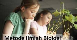 Contoh karya ilmiah biologi tentang tumbuhan bawang merah. Metode Ilmiah Biologi Pengertian Tahapan Tujuan Unsur Kriteria Karakteristik Dan Contohnya Biologijk