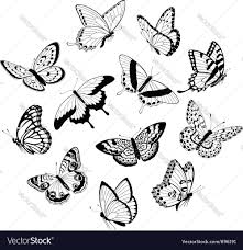 Black And White Butterfly Drawing Images Flying Black White Butterflies Vector Image On Vectorstock White Butterfly Tattoo Butterfly Drawing Butterfly Outline
