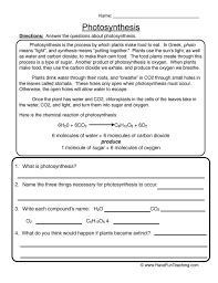 Photosynthesis 5th Grade Environmental Science In 2020 Photosynthesis Worksheet Science Worksheets Photosynthesis