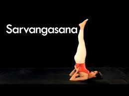 Pin On Random Things