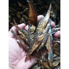 We did not find results for: Hot Item Ikan Salai Tempora Ikan Montan Ikan Sungai Shopee Malaysia