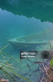 1,594 Vanessa Waters Stock Photos, High-Res Pictures, and Images