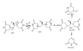 Image result for Pleiocarpa bicarpellata