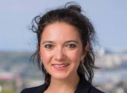 Project Management Mentoring Programme (PMMP)