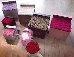 They grow best in moss and peat with the pot standing in they don't like drying out, or temperatures above about 35°c. Are These Roses That Last For A Year The Real Deal Observer