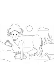 We did not find results for: Coloring Pages Printable Water Buffalo Coloring Page For Kids
