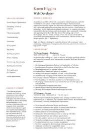 Web Developer Resume Example Cv Designer Template Development Jobs Website Internet