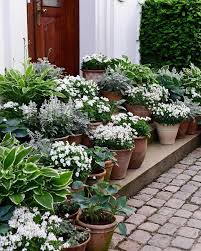Modern Garden Ideas In 2021 Plants Container Gardening Flowers Garden Containers