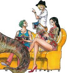 No Robin No One Piece Zoro And Robin Manga Anime One Piece One Piece Manga
