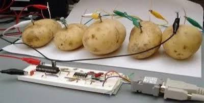 potato server - NamuWiki