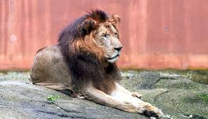 Daily, with last last ticketed admission reservation time at 5 p.m. The Zoo S Last Legs The Star