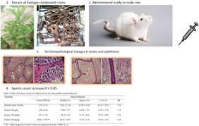 Image result for Fadogia cienkowskii