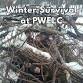 Winter Survival at Prairie Woods ELC event in Spicer, MN