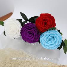 Silk flower, plastic applicable festivals: Real Rose Preserved Flower Eternity Roses Flower Wholesale At Cheap Price Buy Real Rose Preserved Flower Eternity Roses Flower Wholesale Wholesale Real Rose Preserved Flower Eternity Roses Product On Alibaba Com