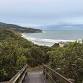 Raglan wild forage fun! event image
