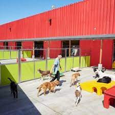 Search by rates,reviews, and more. Best Dog Boarding Near Me July 2021 Find Nearby Dog Boarding Reviews Yelp
