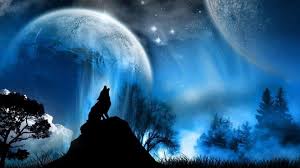 Choosing a theme extends the color choice. Wolf Wallpapers Desktop Group 87