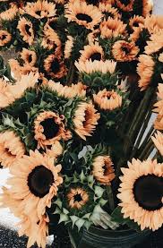 Riityeyayeѕt Wanderluster7 Achtergronden Bloem Behang Wallpaper Achtergronden