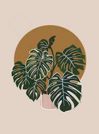 Monstera Abstract Line Art Line Art Drawings Art Wallpaper