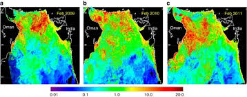 Married women tamed by the object. Massive Outbreaks Of Noctiluca Scintillans Blooms In The Arabian Sea Due To Spread Of Hypoxia Nature Communications