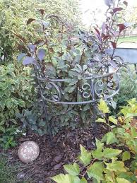 Nachrichten senden und empfangen kannst. Staudenhalter Gartendeko Rankhilfe Landhaus Vintage In Muritz Landkreis Waren Muritz Ebay Kleinanzeigen Garten Deko Staudenhalter Rankhilfe